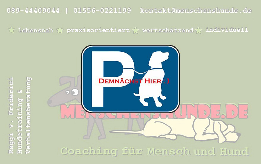 Vollbild Hintergrundbild